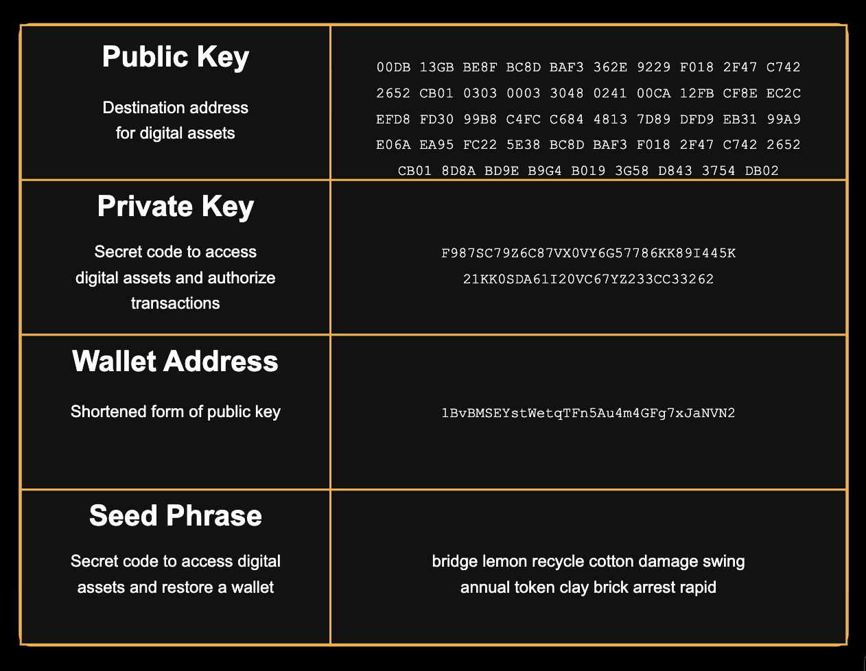 Underlying structure of blockchain wallets